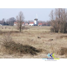 2006-13-03 Geuzenwaard - zicht op de Boterdijk Coll. HKR (1)
